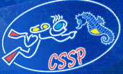 CSSP