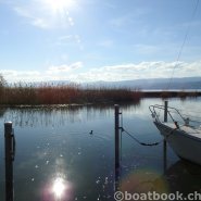 Fotos aus dem Hafen Cudrefin-Camping