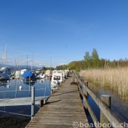 Fotos aus dem Hafen Cudrefin-Camping