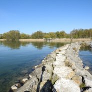 Fotos aus dem Hafen Cudrefin-Camping