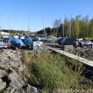 Fotos aus dem Hafen Cudrefin-Camping