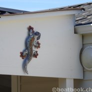 Fotos aus dem Hafen Cudrefin-Camping