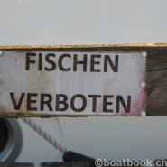 Fotos aus dem Hafen Cudrefin-Camping