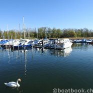 Fotos aus dem Hafen Cudrefin-Camping