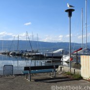 Fotos aus dem Hafen Cudrefin-Camping