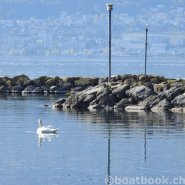 Fotos aus dem Hafen Cudrefin-Camping