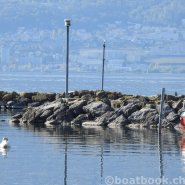 Fotos aus dem Hafen Cudrefin-Camping